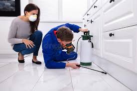 Best Real Estate Pest Inspections  in Manahawkin, NJ